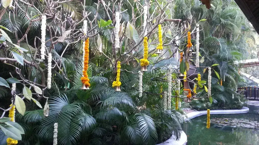 Floral strands hanging from trees over the water at Exotica
