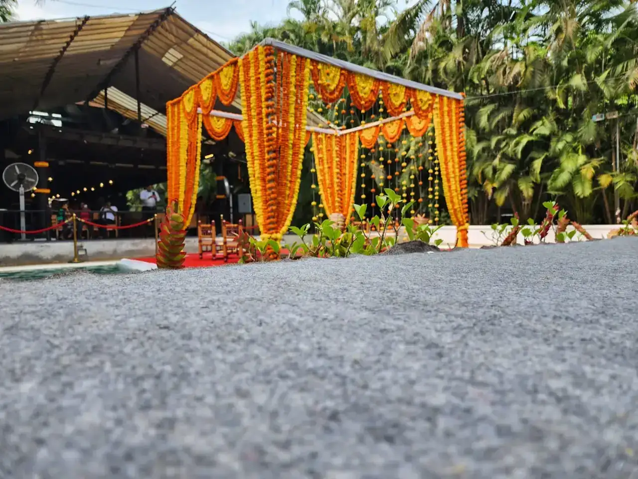 Marigold mandap seen from the lawns at Exotica